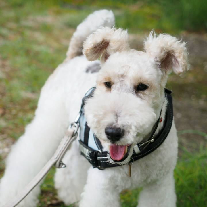 707cfbae 3b69 4f0b 8a60 29387f6d9455