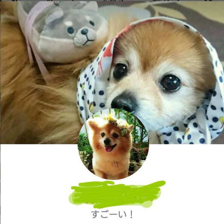 707d218c 8cb8 43c9 963e c5b1db0f2fda