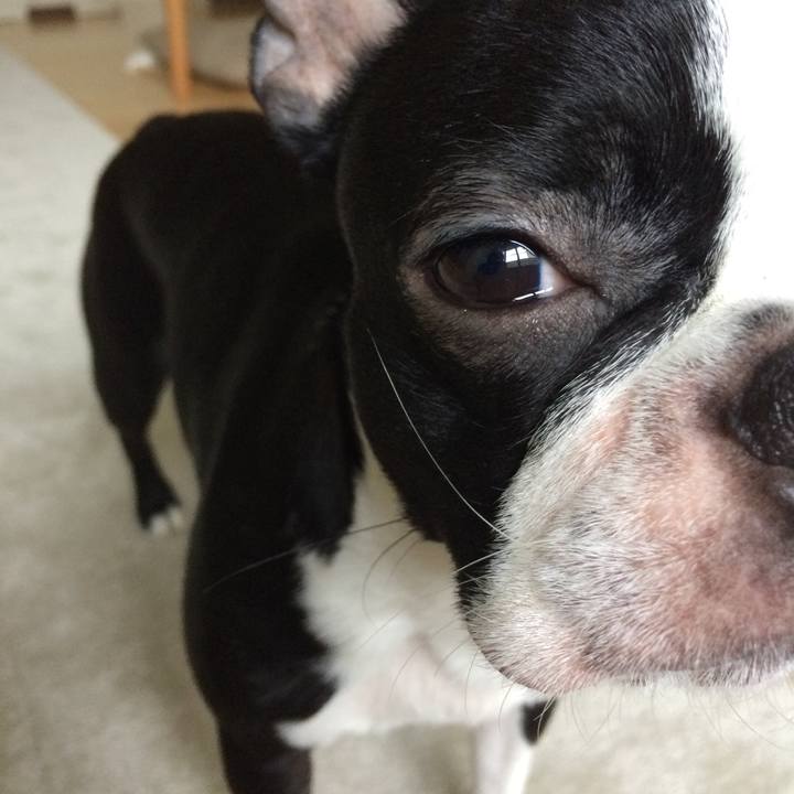 707e06d7 6298 4963 805f 17fc5649484f