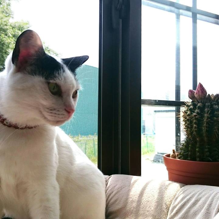 707f31b4 3f7d 404a 81f3 7804b114b044