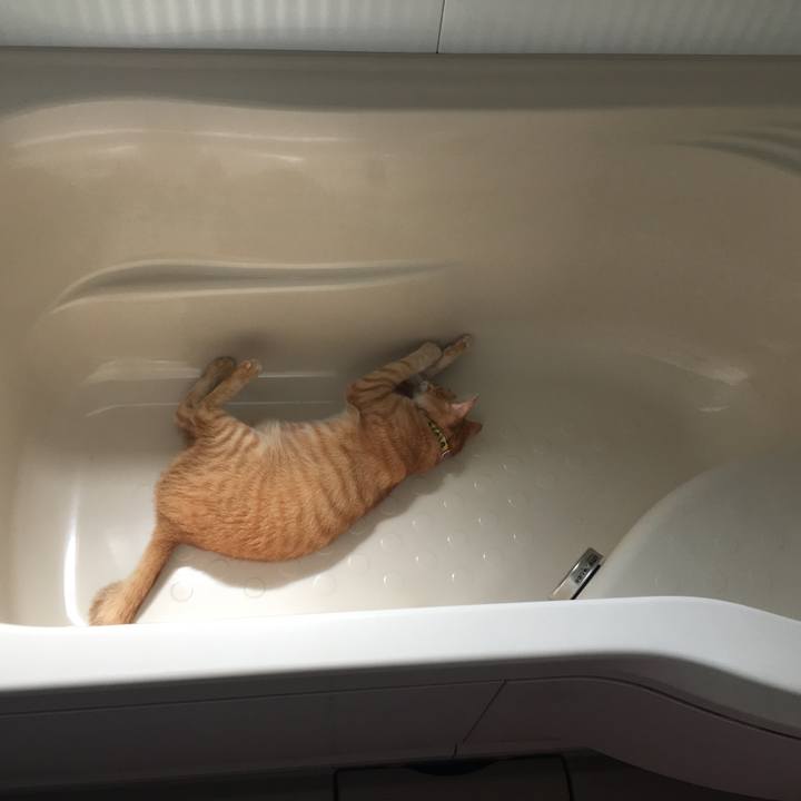 707fb67d bc6b 43dd 8776 431cf90f754e