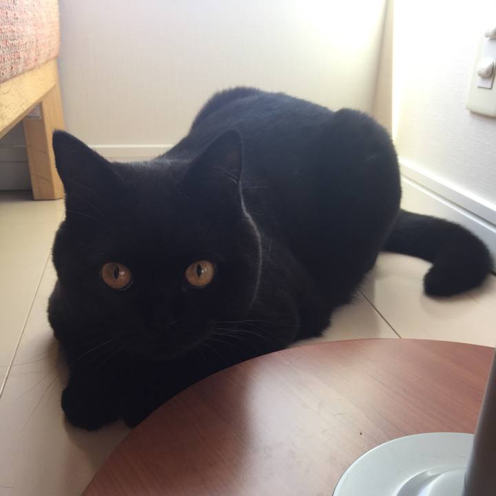 707fcc1c 56b9 4e75 8333 671153b2117a