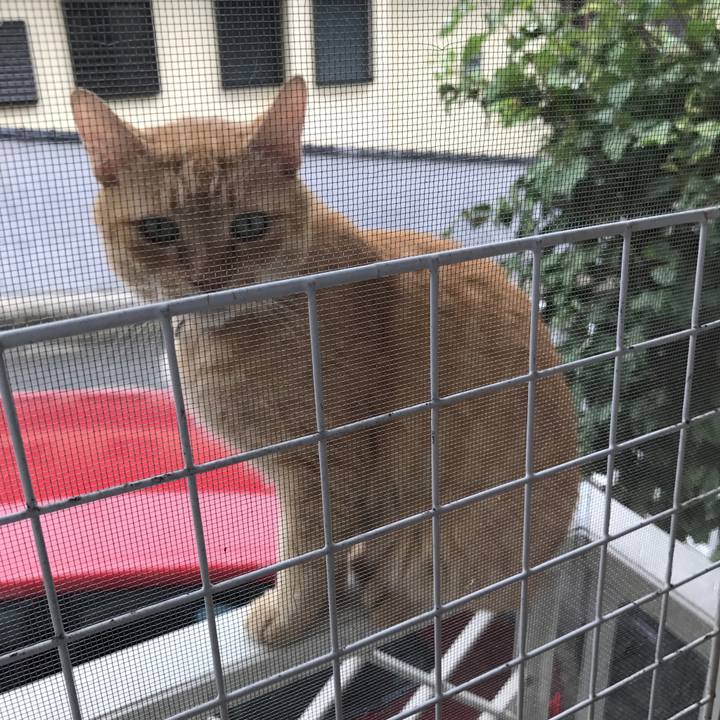 707fd153 bd91 4a2c 87ef c66f3b8f3f08