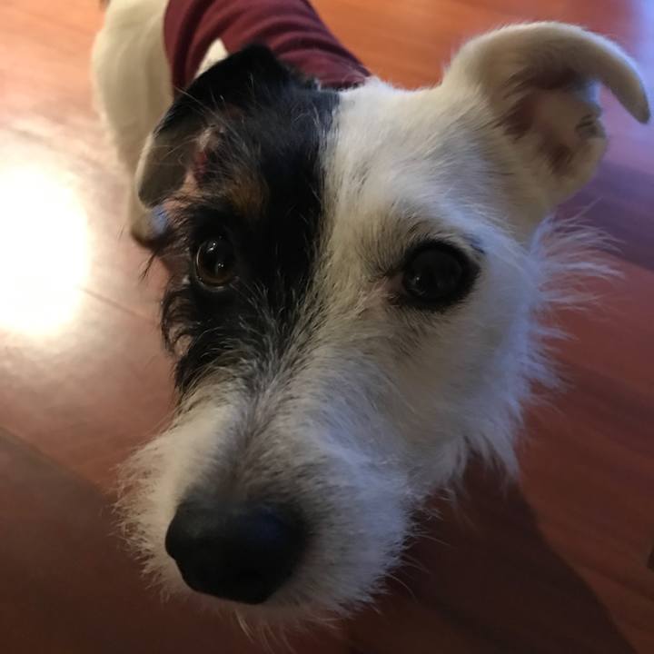 70814189 9f93 4c2e bd12 68dbc704a0c3