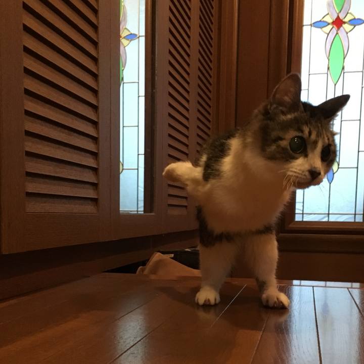 7081a0de 4f72 40da abaf e592ae8b3984