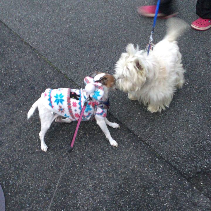 7081b2ef a7a4 4715 9743 7f78598e8b7c