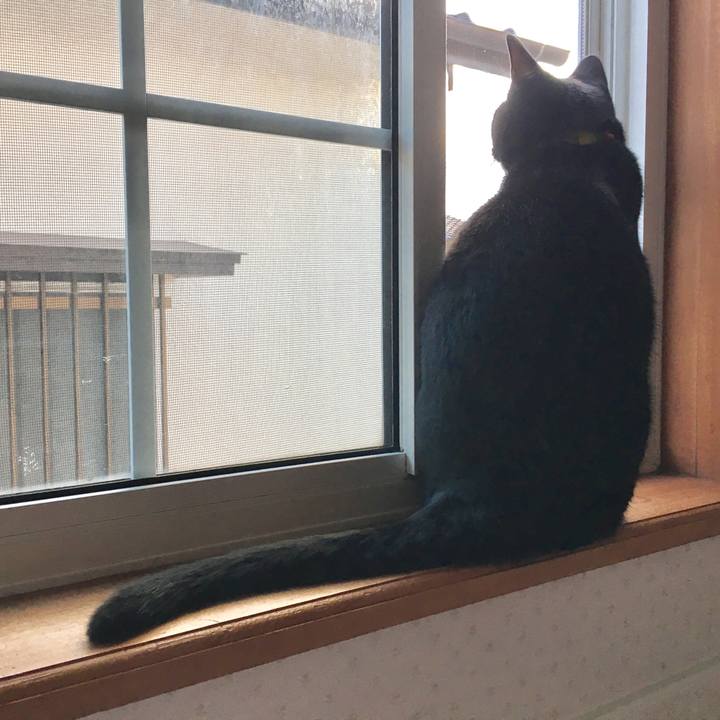 7081f6b0 b3e2 4150 96a0 40e0696f9841