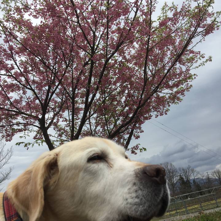 70821467 1fcf 4579 9b04 b30226a15a6d