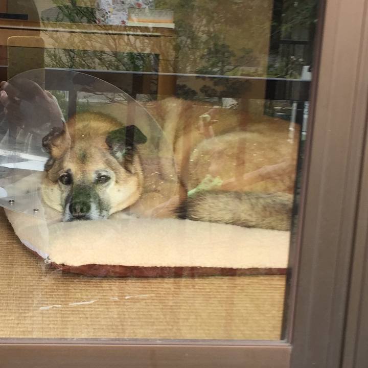 70821c06 6a83 45fc b7da 72c3d912c8fe