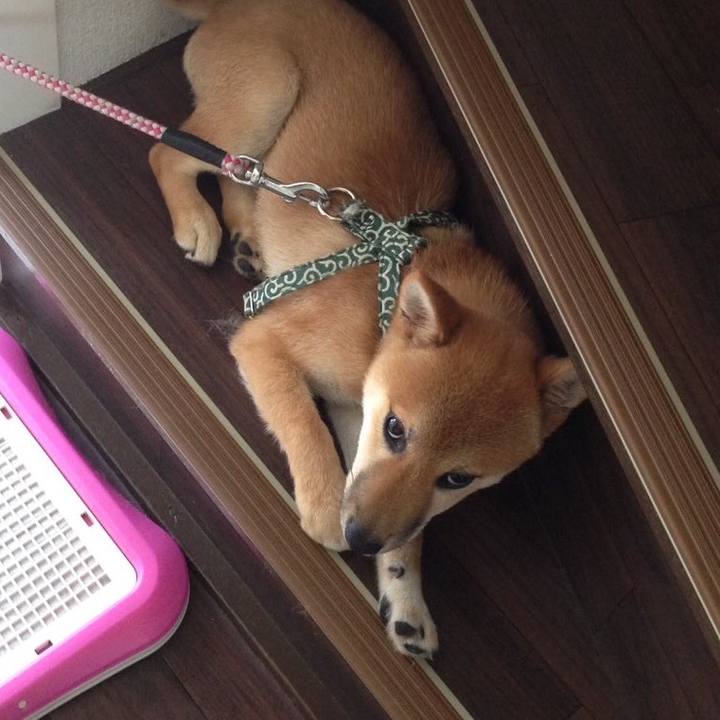 708305df 697a 4468 a318 25099d8594dd