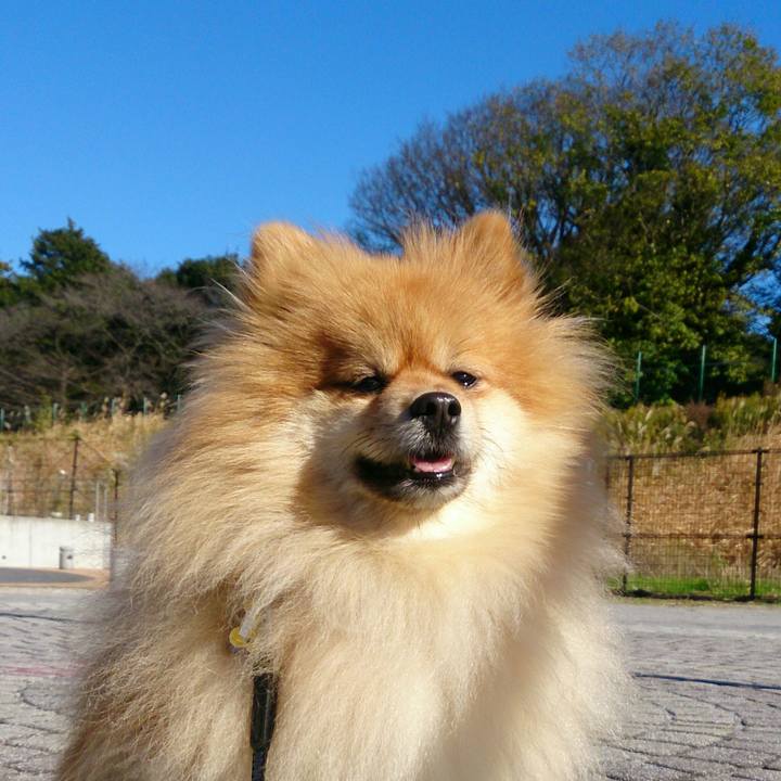 70836c4a c962 4df6 8af9 26f4d838ea1c