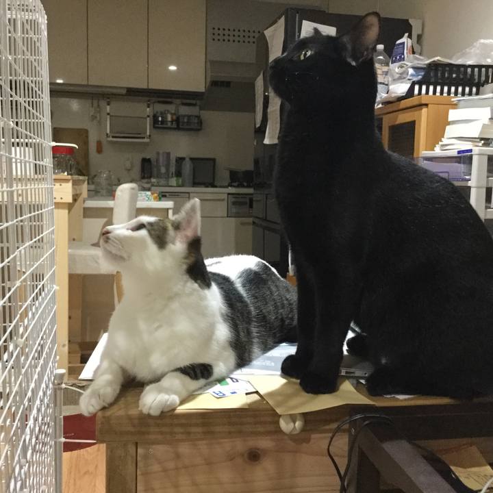 7083a454 70f1 455f 94b5 e95e4d2be54c