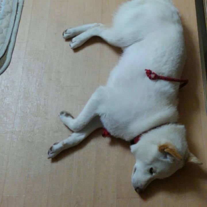 7083bf7d 8f8a 4a4e beaa 87738d853fad