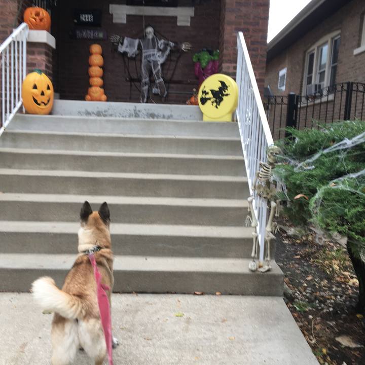 7084dc56 9c3e 44cb aeed f99223731bac