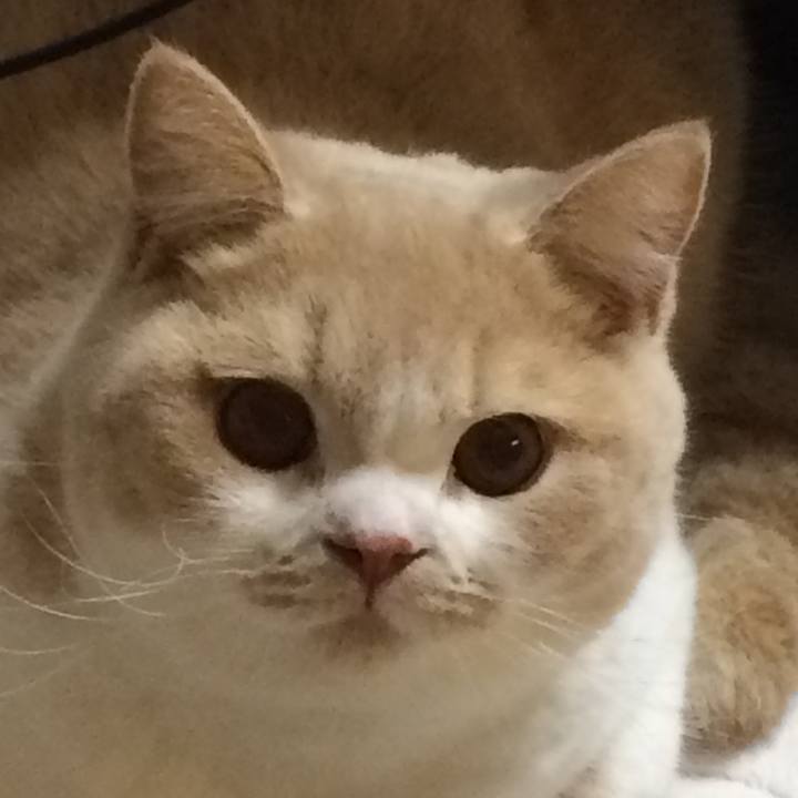 7084ddb4 bc21 40fe 954f d52bb0a674fa