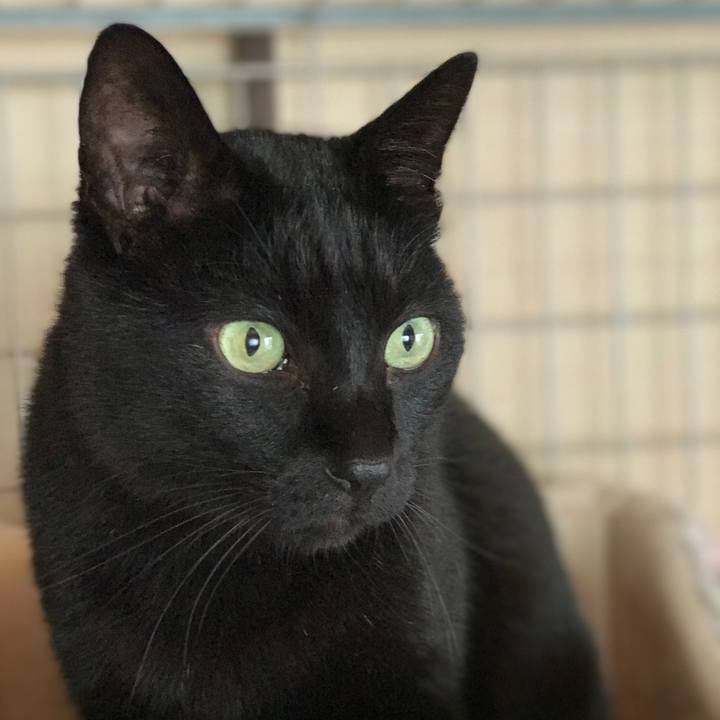 708569a7 c5b0 45b8 96b6 29249711f23d