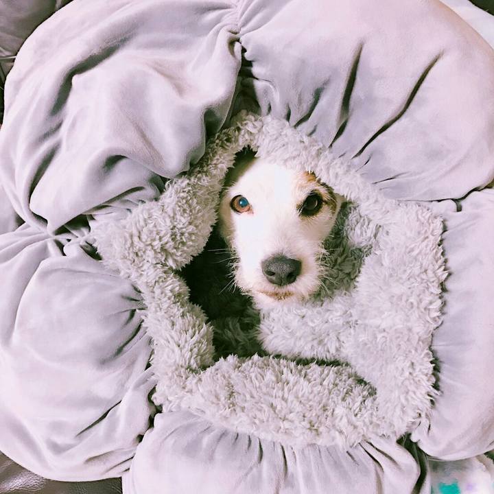 70859a89 902d 43ca b548 b0033559f307