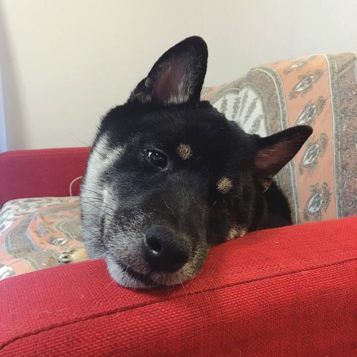 7086297d 8aaa 48cf 8f32 115ea0df0948