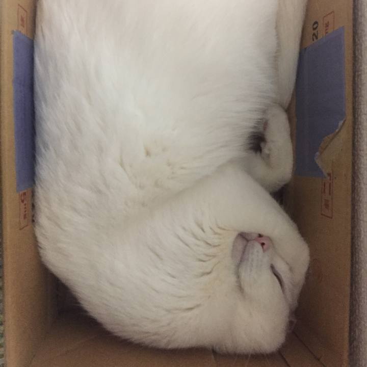 70862c9c d803 44fb 9901 df30c404e560