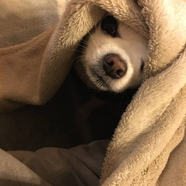 7086377d 5df1 4c23 9fb6 cf444691591a