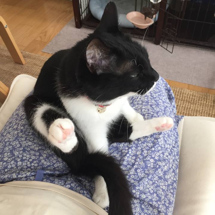 7086728f 698a 48dd a3c2 b2fe81e8fab7