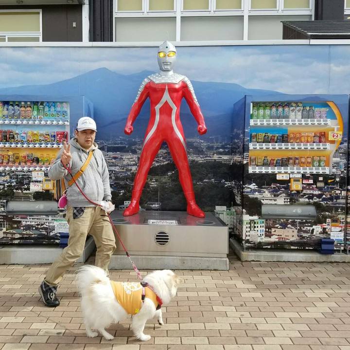 70868ee9 a894 4ed8 a911 a4c75b4597a3