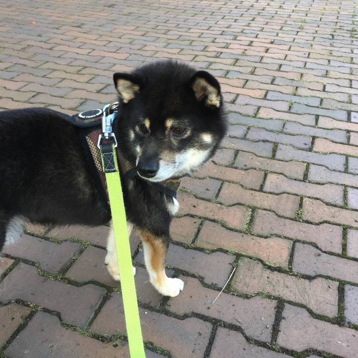 7086d2f4 e1d4 48e2 9c87 8acf4cc1f675