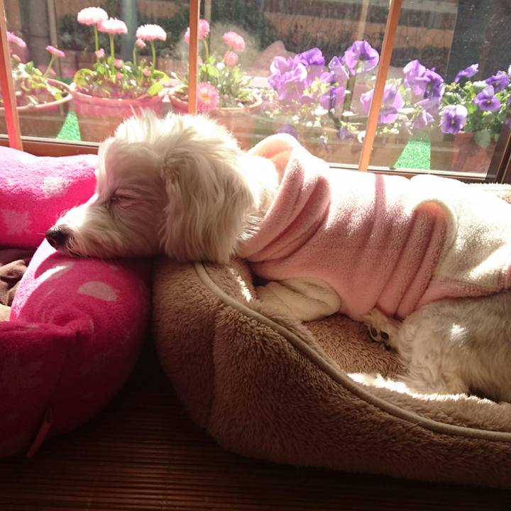 70872678 ae70 4ed0 a826 36629eeacb7e