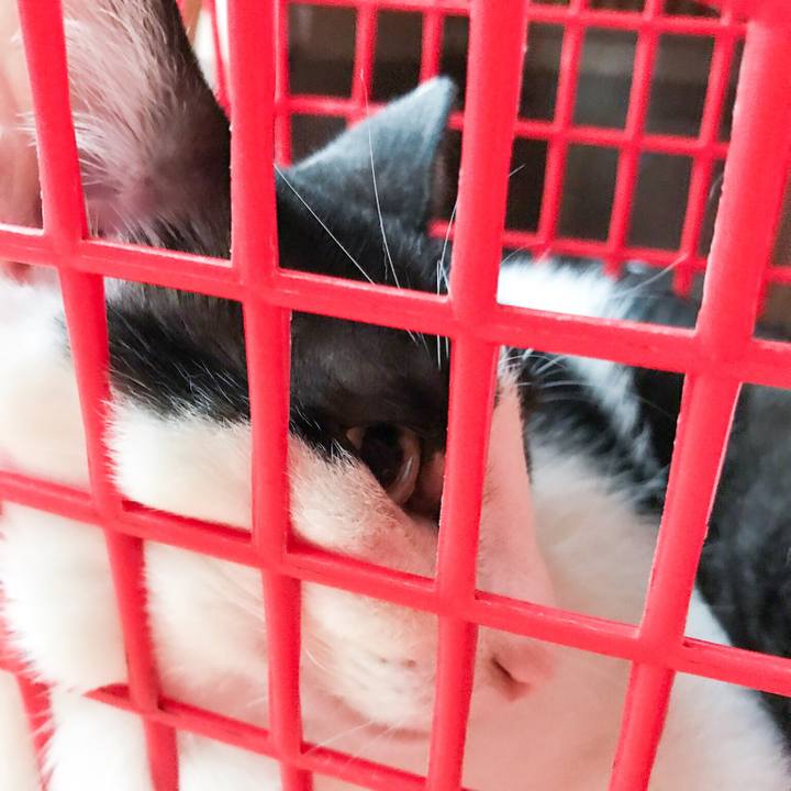 70876578 dee9 49bf 9332 0e08d5e97c7e