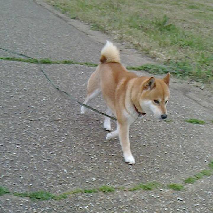 7087a485 124b 4446 a570 ce3e7c10231c