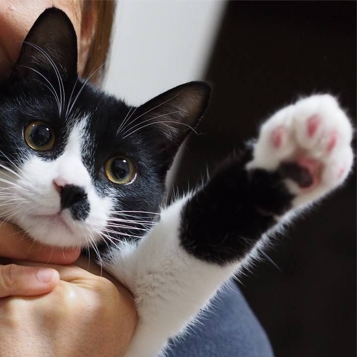 7087fa16 8a57 4e5a 907e 38c52eb17323