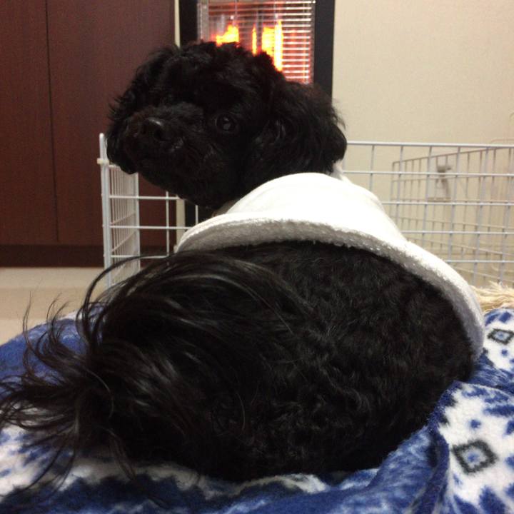 70882216 02e4 4f7a ba59 3fabe9c8fc41