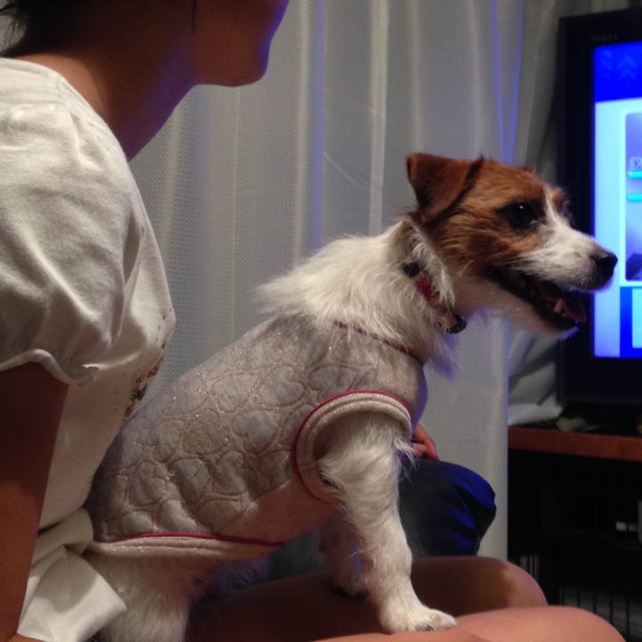 7088ddd5 a6db 49b1 912b dbc01cb903a1