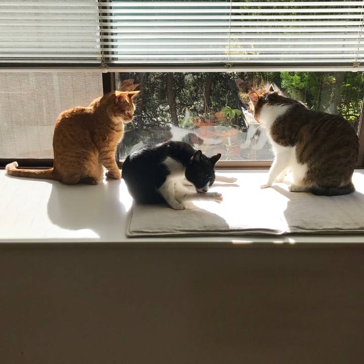 7089048a 5a2b 4114 8910 6fe3d5b2cfe2