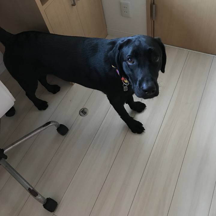 708ad9e7 d475 4a21 a044 f21adbb7a70e