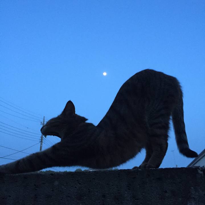 708b0f9d ab3d 4276 96ee 7a16e7051015