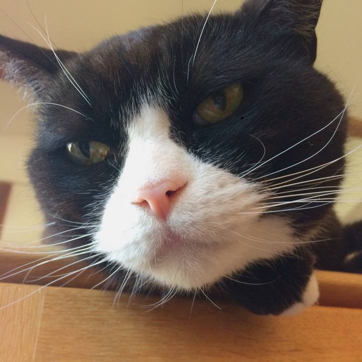 708b4d0d 12a4 4968 a7f9 d946b35cad3e