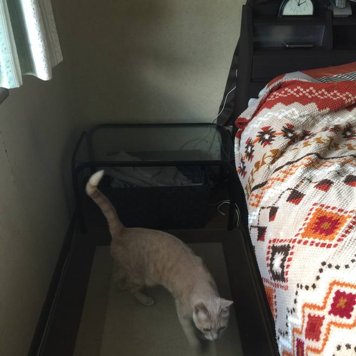 708b5816 2e77 45e9 9178 e6c8e81e8081