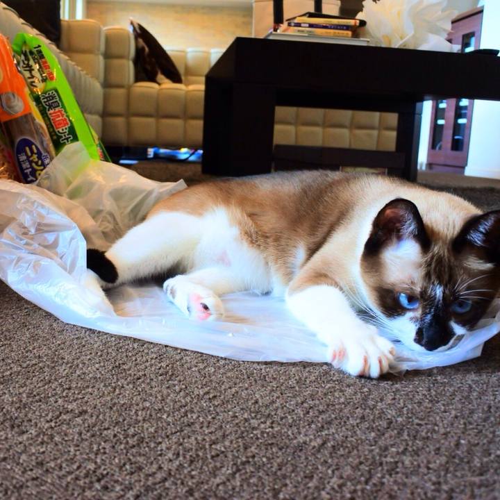 708bd5cb 48b0 4e21 9312 5524779afd5c