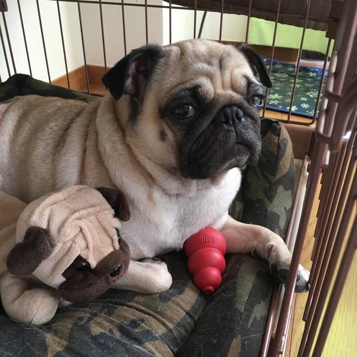 708bfe21 4cc2 4d58 9e07 852baabdc9b6