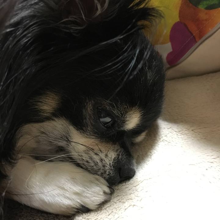 708c54dd 3a64 43ff b669 01a9ad65d101