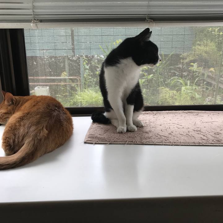 708c5a89 e95a 4f21 bcfd 4ad1cbe2c540