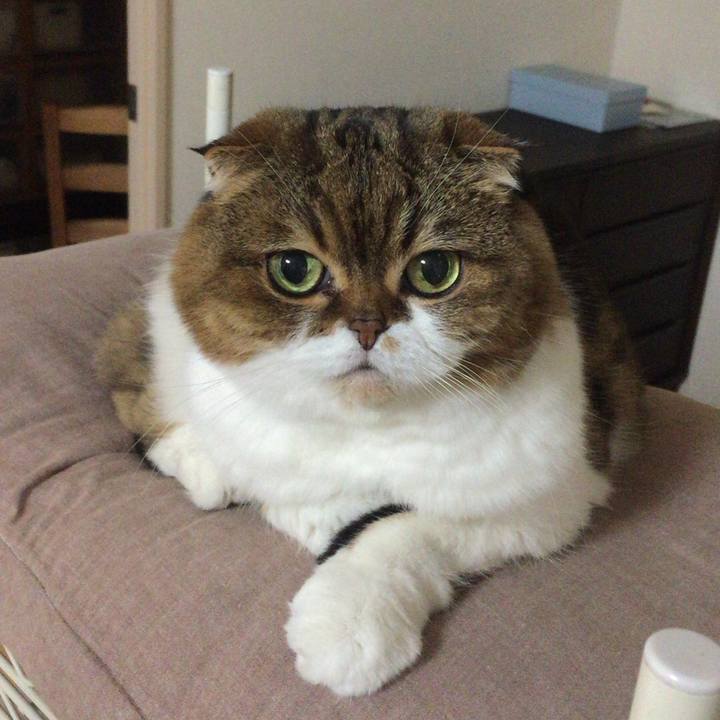 708cade9 a527 4eb6 b7ce 32ce9c51321a