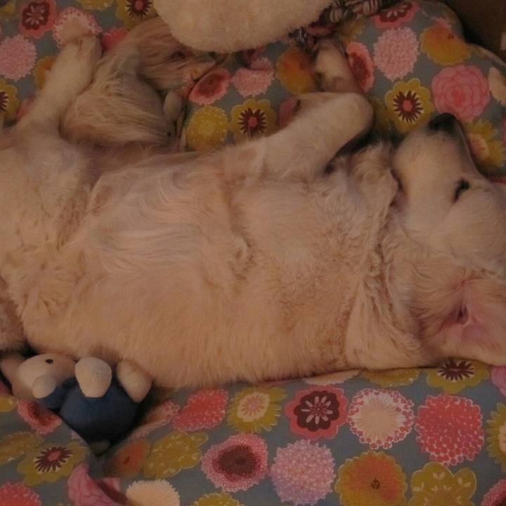 708d9ac9 160e 4d7c 96b6 100eec6b766a