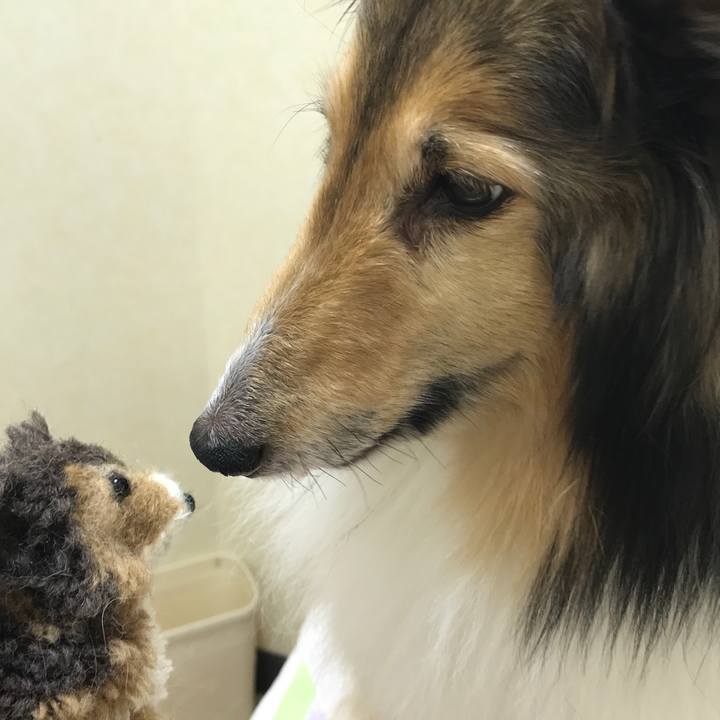 708dcba0 230d 4828 8fc0 c2780b391d58