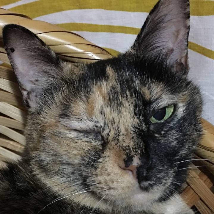 708df148 f748 4d1d b6c6 e375195f3cfb