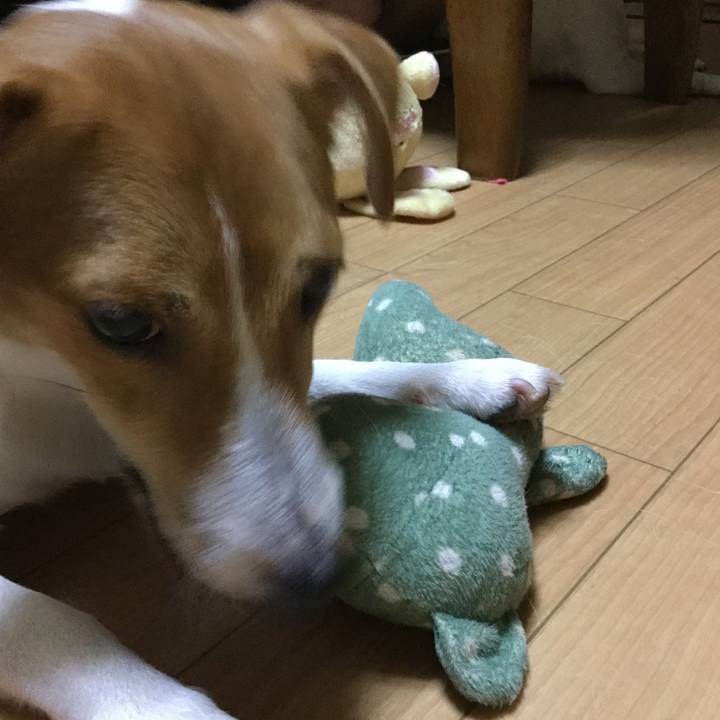 708dfba2 11af 4957 8d0a 1faf624b5259