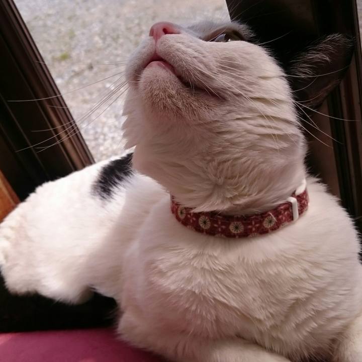 708e1cc7 04b9 4f16 a6b7 bd8c631ea181