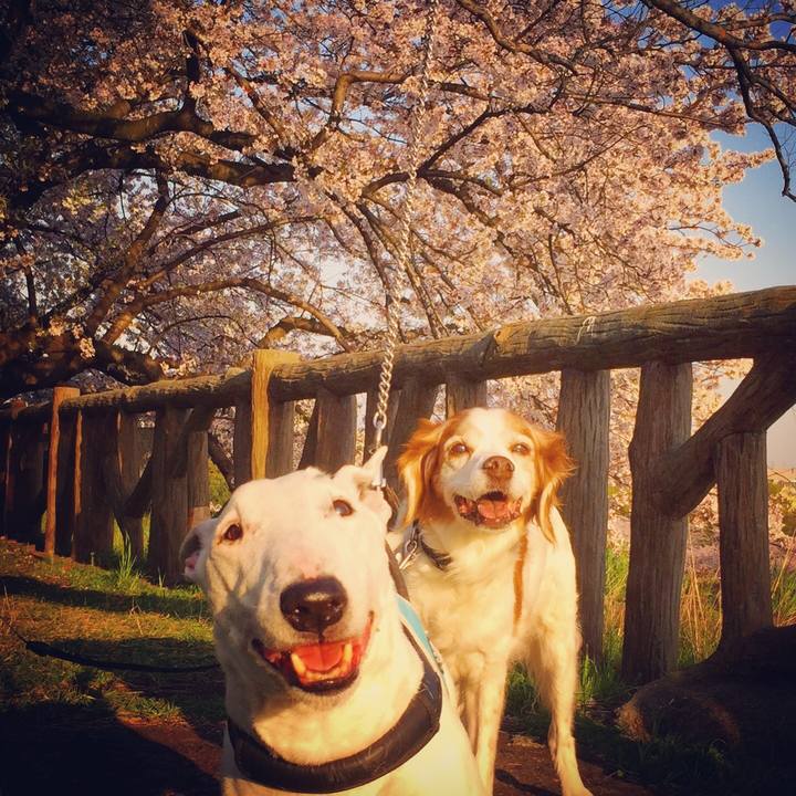 708e33f8 c6e4 4c2d 915f ad9c9e1859e1