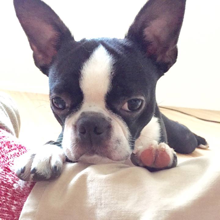 708e4b93 4c31 4d08 bba0 d241bf2f546a